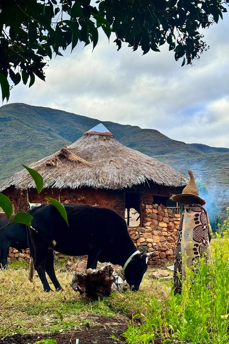 Lesotho 3