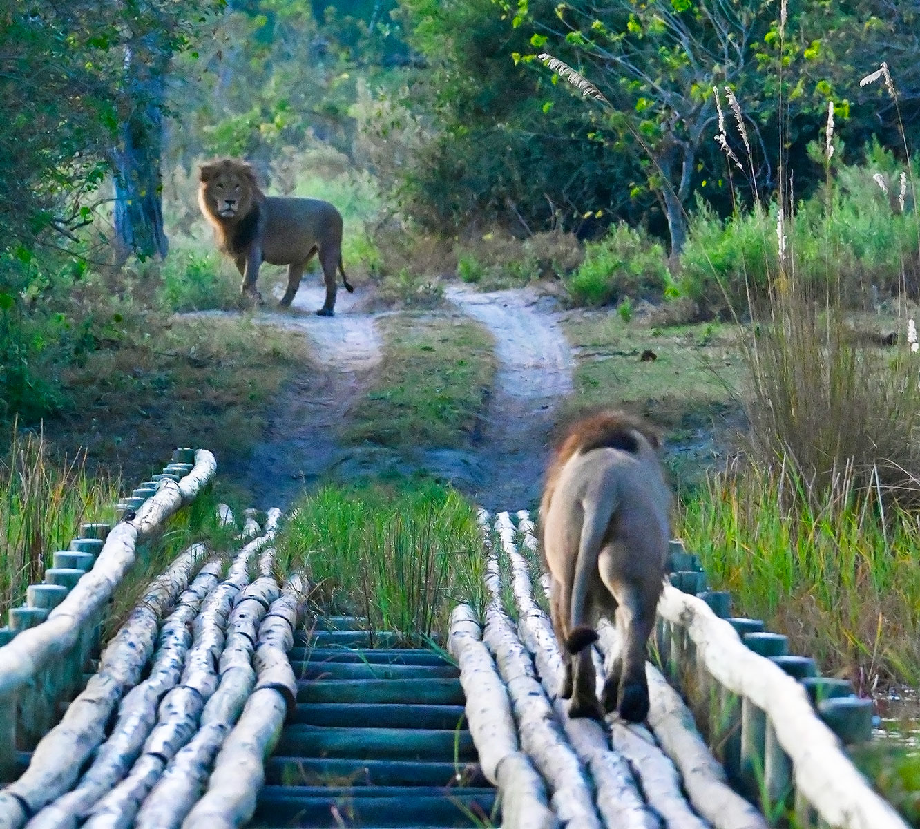 Mother Daughter Safari 5